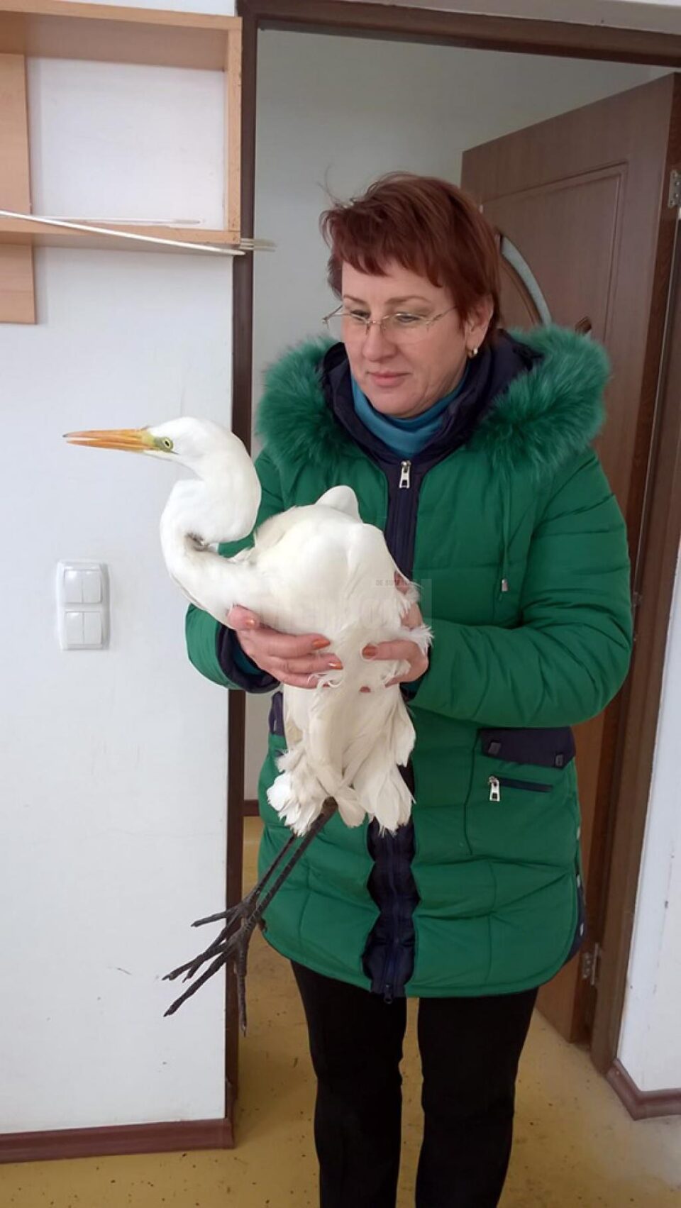 Responsabilul Parcului ZOO, Angelica Olinici, și cocorul salvat