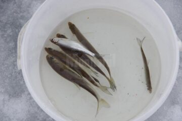 Pescarii sportivi și-a testat abilitățile și și-au încercat norocul la Cupa Prieteni Pescari de la Lipoveni