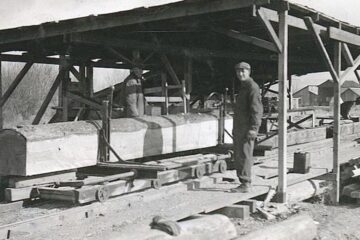 „Fabrica de cherestea”