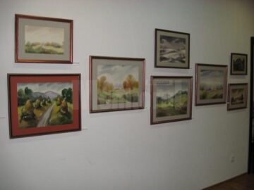 Secvență din expoziție