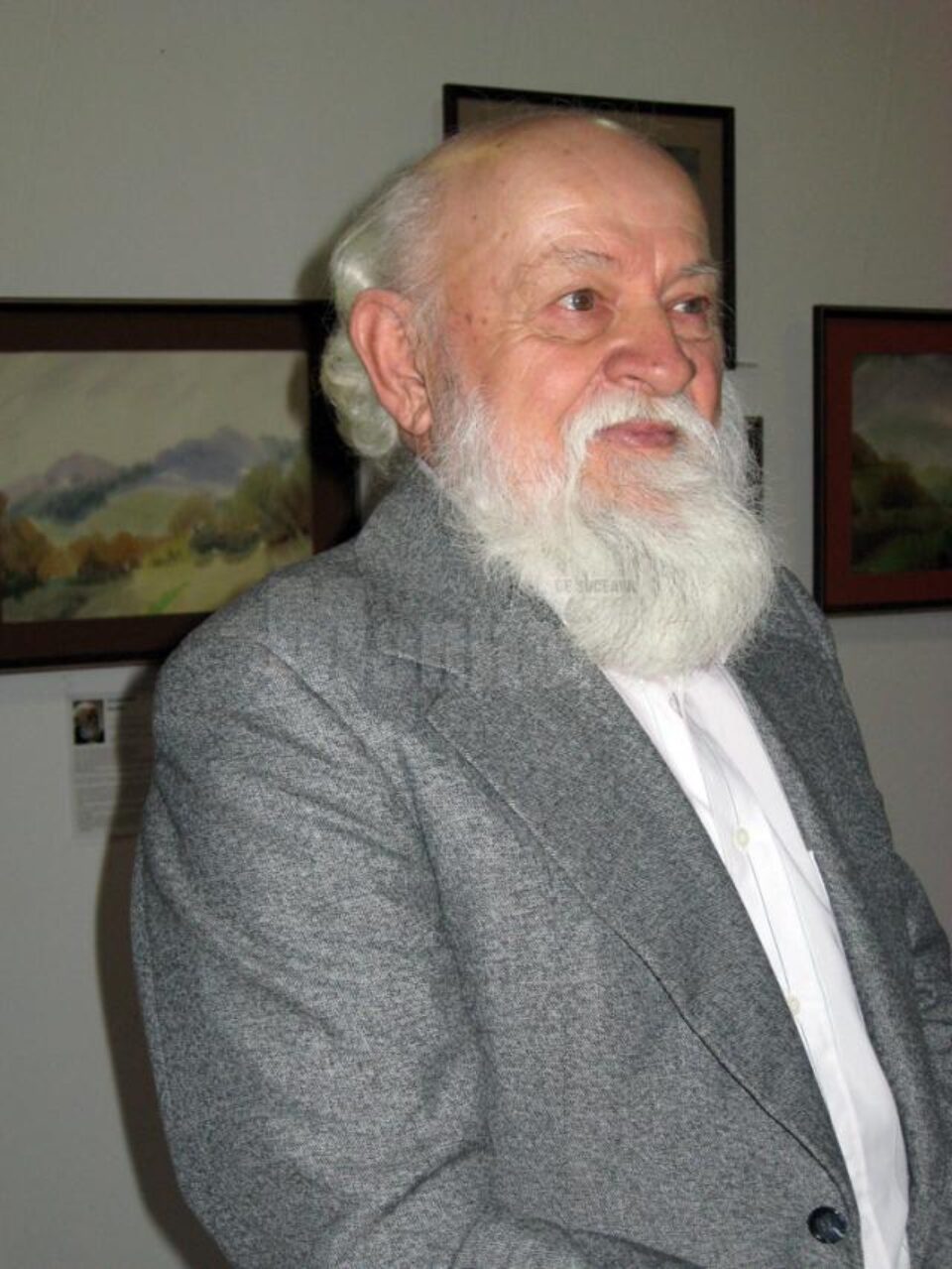 Artistul plastic Dumitru Rusu
