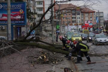Copac din Parcul Central, căzut peste o mașină din trafic