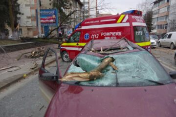 Copac din Parcul Central, căzut peste o mașină din trafic