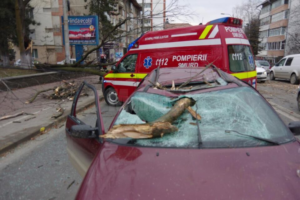 Copac din Parcul Central, căzut peste o mașină din trafic