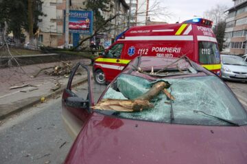 Acoperișuri smulse și copaci căzuți în stradă, în urma vijeliei de vineri dimineață