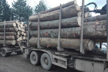 Transporturile de lemn, verificate de polițiști și Garda Forestieră