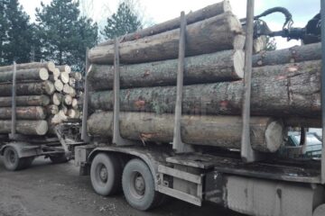 În urma controalelor au rezultat diferențe între ce era în documente și cantitățile transportate în realitate