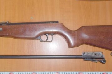 Armă de vânătoare