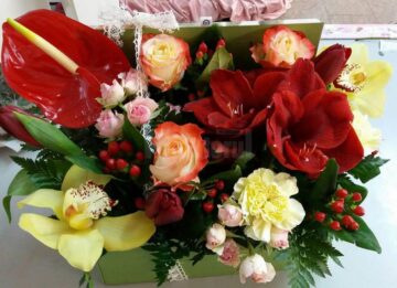 Queen Concept Flowers – Flori pentru suflet