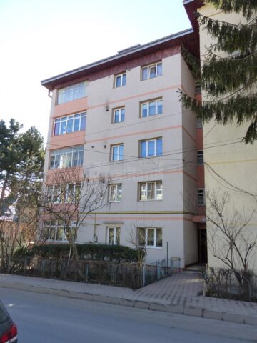 O bătrână a fost sfâșiată de un câine, chiar în fața blocului în care locuiește