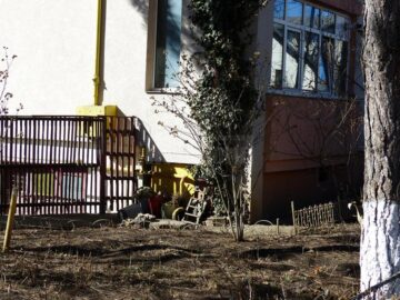Cățeaua cu pui se instalase sub balconul de la parter al femeii de 79 de ani, de unde a ieșit și a atacat-o