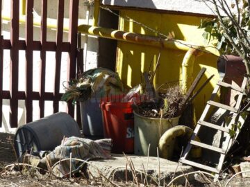 O bătrână a fost sfâșiată de un câine, chiar în fața blocului în care locuiește