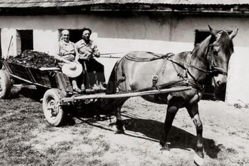 „Propaganda agro-zootehnică”