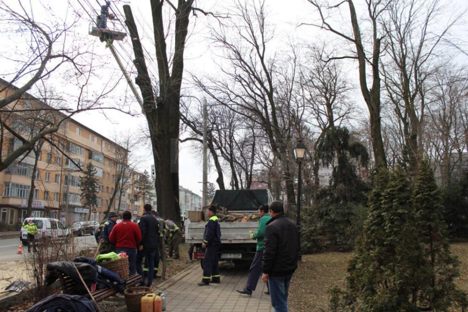 Posibilele pericole din Parcul Central, îndepărtate prin toaletări de arbori