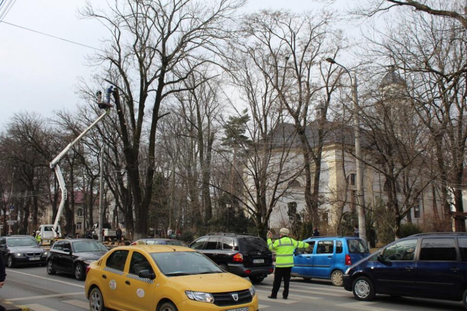Posibilele pericole din Parcul Central, îndepărtate prin toaletări de arbori