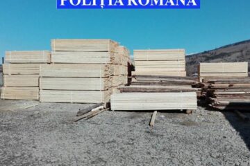 Peste 120 mc de material lemnos confiscat