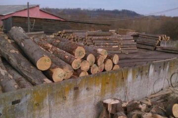 Echipele de control au confiscat de la o societate din Comănești lemn în valoare de peste 60.000 de lei