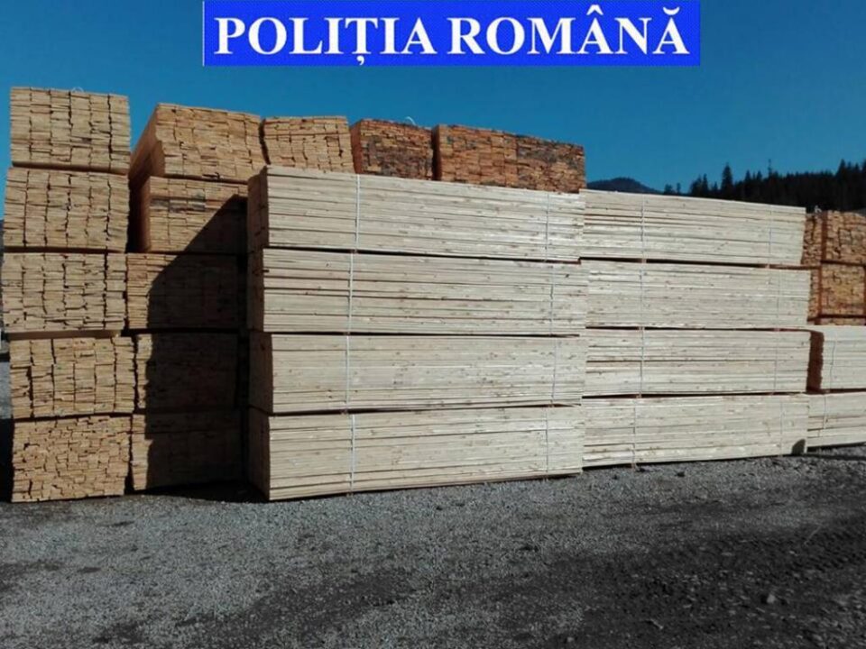 Lemn în valoare de 60.000 de lei, confiscat pentru lipsa documentelor de proveniență