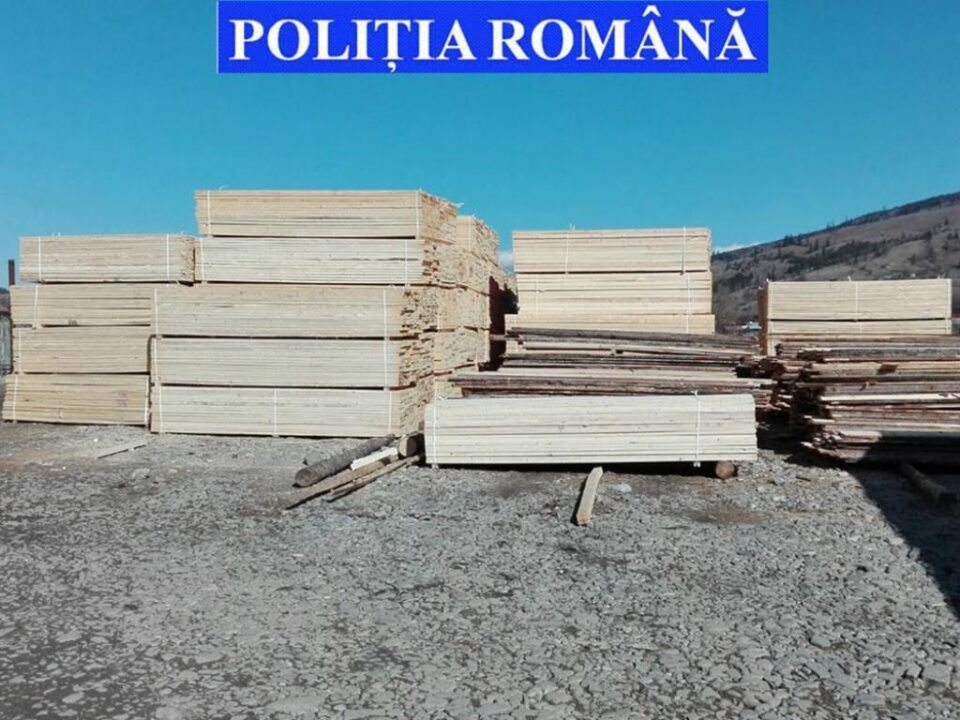 Lemn în valoare de 60.000 de lei, confiscat pentru lipsa documentelor de proveniență