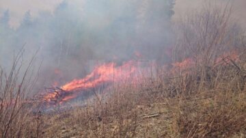 Intervenție dificilă la un incendiu pe mai bine de cinci hectare, la Câmpulung