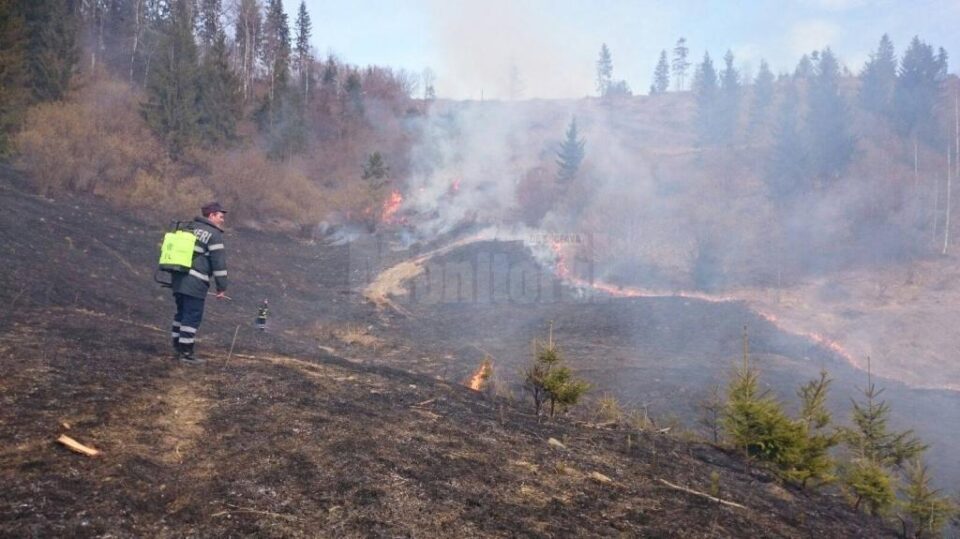 Intervenție dificilă la un incendiu pe mai bine de cinci hectare, la Câmpulung