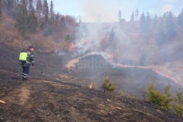 Intervenție dificilă la un incendiu pe mai bine de cinci hectare, la Câmpulung