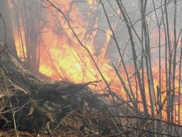 Intervenție dificilă la un incendiu pe mai bine de cinci hectare, la Câmpulung