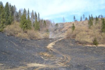 Intervenție dificilă la un incendiu pe mai bine de cinci hectare, la Câmpulung