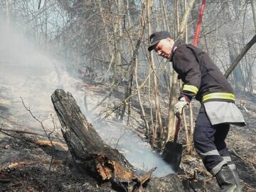 Incendiile de vegetație uscată dau mari bătăi de cap pompierilor
