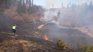 Incendiile de vegetație uscată dau mari bătăi de cap pompierilor
