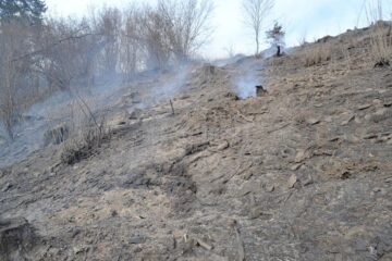 Incendiile de vegetație uscată dau mari bătăi de cap pompierilor