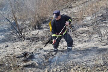 Încălzirea vremii a coincis, ca și în ceilalți ani, cu o explozie a cazurilor de incendii de vegetație uscată