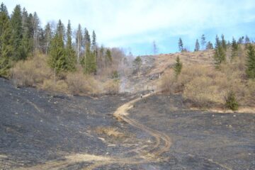 Incendiile de vegetație uscată dau mari bătăi de cap pompierilor