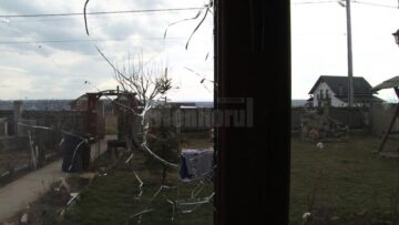 Pietrele aruncate de cei patru agresori au spart geamurile de termopan
