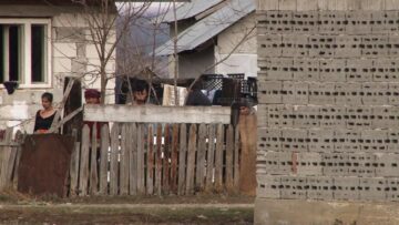 Cei patru agresori locuiesc, conform celor spuse de proprietar, la o casă din apropiere