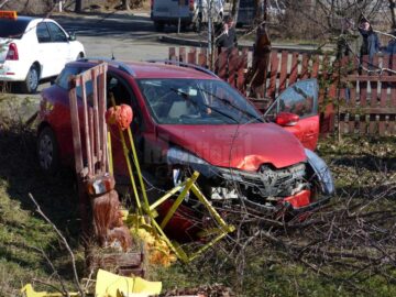 Autoturismul Renault Clio a fost proiectat într-o grădină