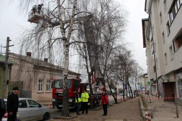 Copacii din fața blocului au îngreunat mult intervenția de îndepărtare a țiglelor desprinse de pe acoperiș
