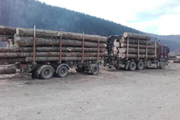 Transportul de lemn