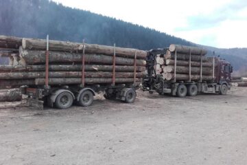 Amenzi de 34.000 de lei și confiscări de masă lemnoasă, în urma unui control inopinat al Gărzii Forestiere Suceava