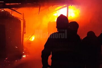 Incendiile au făcut pagube importante