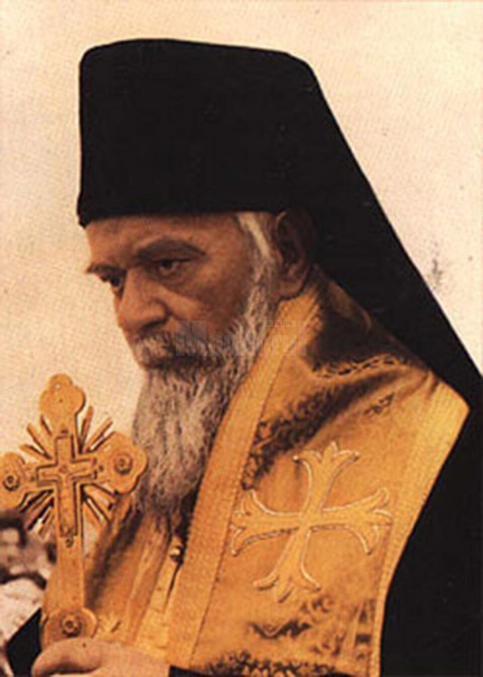 Nicolae Velimirovici Nicolae Velimirovici