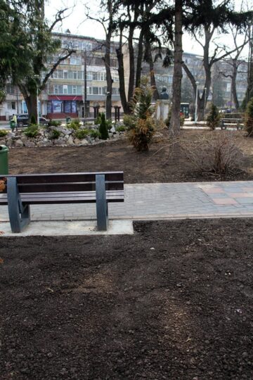 Campania de înlocuire a gardurilor vii cu gazon, demarată din Parcul Trei Bărboși