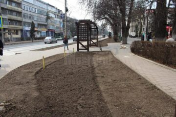 Parcul de lângă Tribunal, după scoaterea gardurilor vii și însămânțarea cu gazon