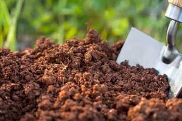 Fertilizarea culturilor, cheia unor producții bogate