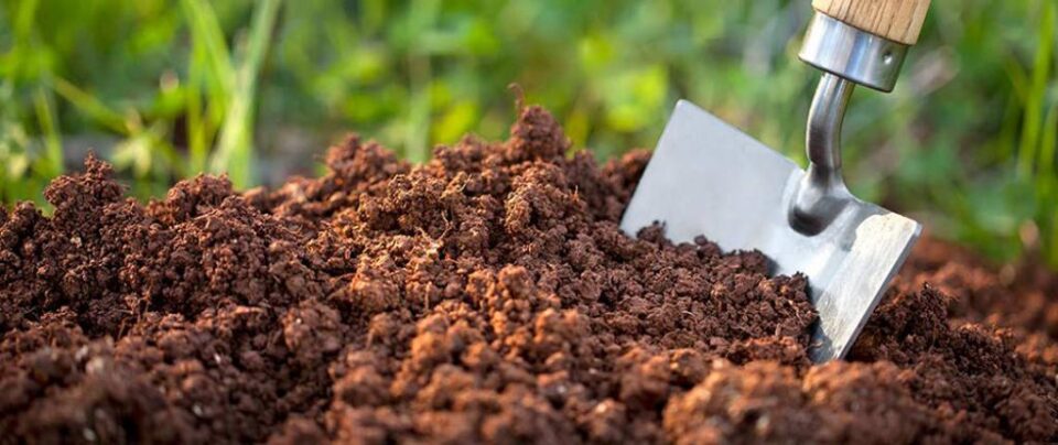 Fertilizarea culturilor, cheia unor producții bogate