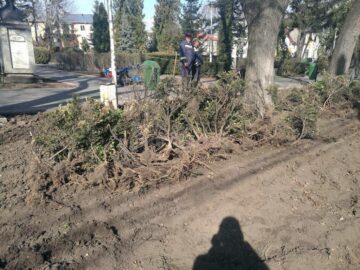 Campania de înlocuire a gardurilor vii cu gazon, demarată din Parcul Trei Bărboși