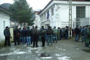 Liderul ALDE Suceava solicita o comisie care să verifice activitatea CNU