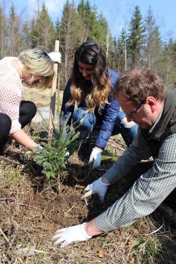 10.000 de puieți de arbori, plantați cu voluntari, la OS Ilișești