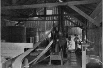 „S-a oprit gaterul”