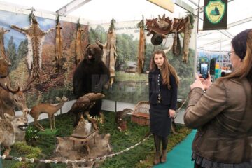 Standul cinegetic al Direcției Silvice Suceava, unul dintre principalele elemente de atracție la Agro Expo Bucovina
